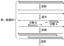 百度教育