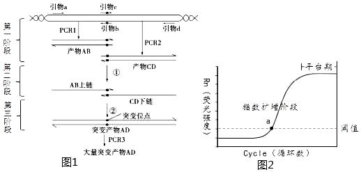一称格了法常用的PCR技术有实时荧光定量PCR、RT-PCR、重叠延伸PCR等，其中重叠延伸PCR技术是一种通过寡聚核苷酸链之间重叠的部分互相 ...