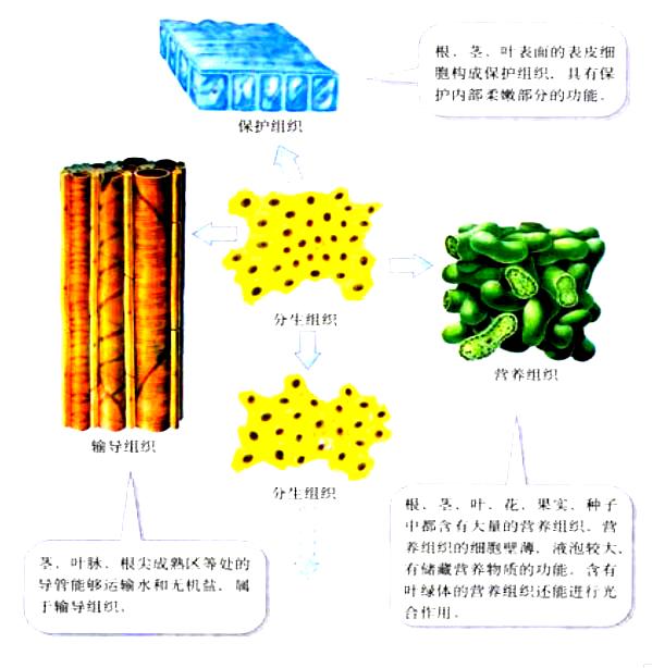 _百度教育
