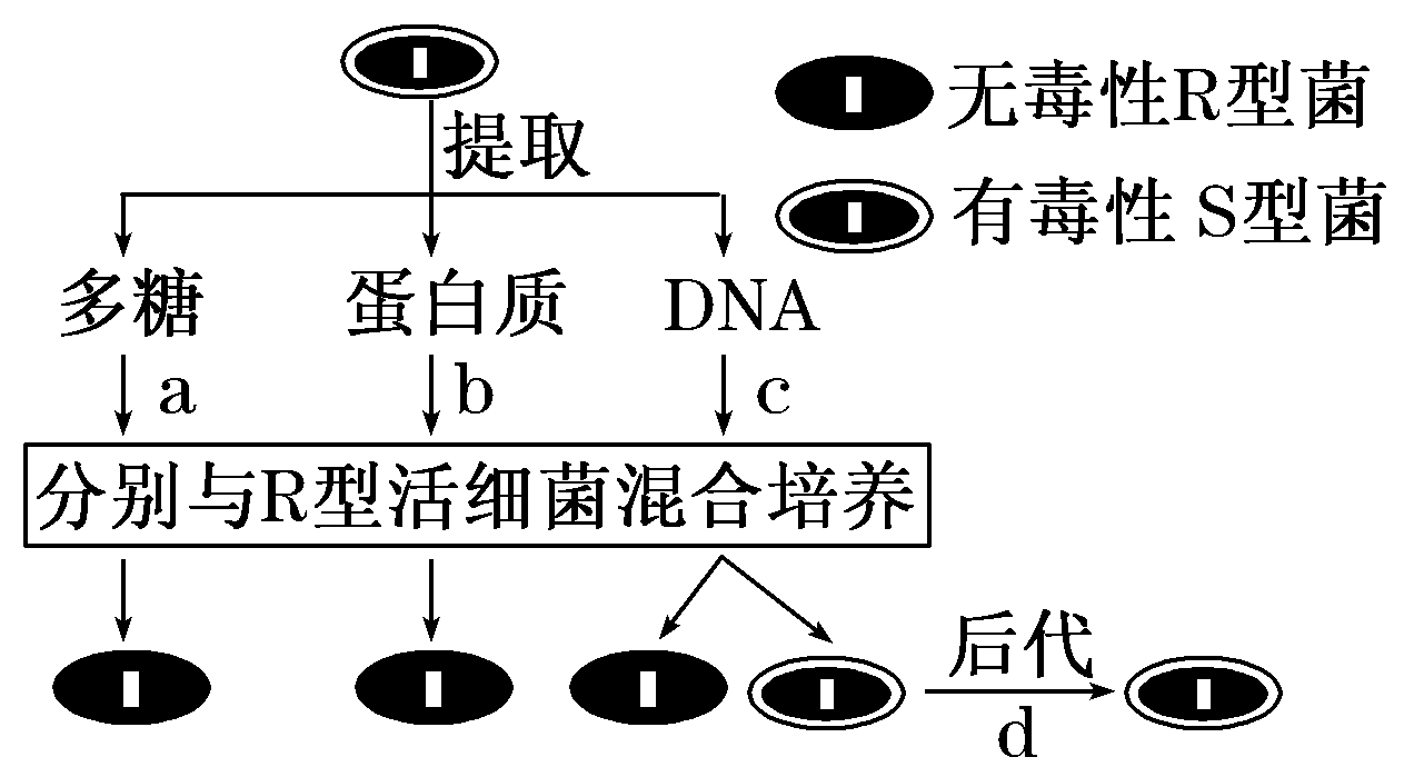Protein Wikipedia