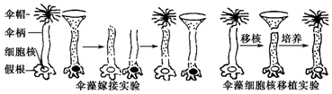 百度教育