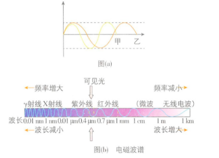 甲、乙分别为两种电磁波，其部分波形如图（a）所示，其中甲是我们能看得见的红光。结合图（b）的电磁波谱，下列分析正确的是（ ）A.乙一定是_百度教育