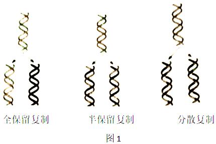 百度教育
